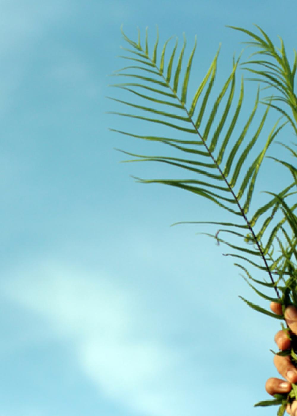 Hand mit Palmwedel